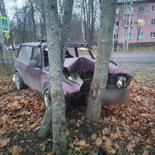 В поселке имени Морозова Всеволожского района Ленобласти водитель, сбил 10-летнего мальчика, после чего..