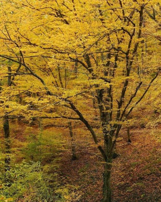 Прогулка по эко-тропе в Абрау-Дюрсо 🍂🍁😍  Фото..