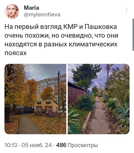 Линия субтропиков проходит по..