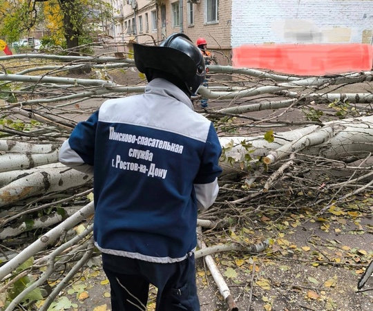 Штормовой ветер в Ростове повалил более 60 деревьев и веток за сутки. Об этом сообщил глава администрации..