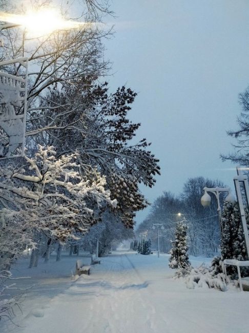 Приозерск занесло..