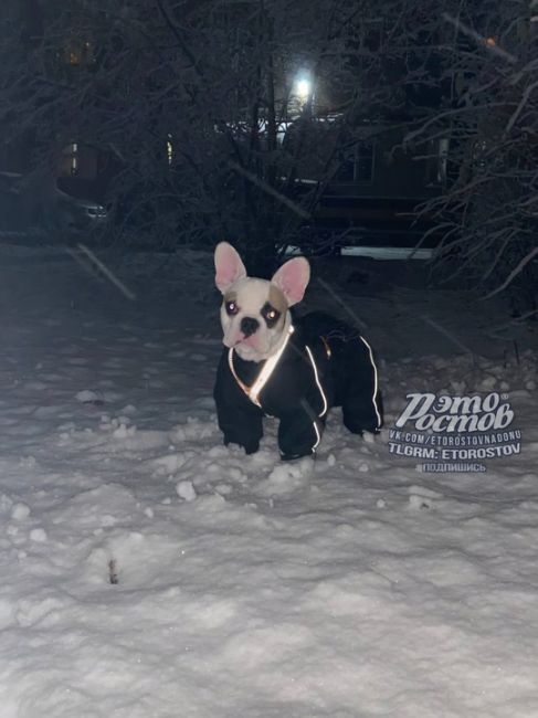 😍❄️ Зима в 50 км от Ростова. Счастливчики из Зернограда лепят..