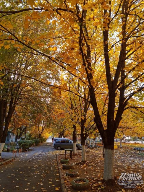 Золотая осень в Таганроге 🍂 ☕  Фото: Вадим..