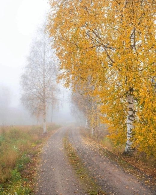 Сказочная осень в Самаре..