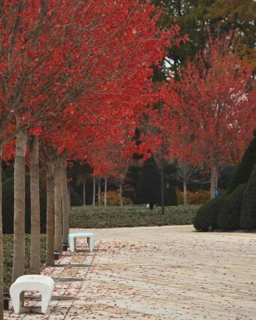 Красивая осень в парке Галицкого 🍁♥  Фото:..