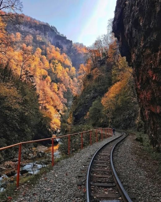 Путь от Гуамки до Мезмая по узкоколейной железной дороге ❤️  Фото:..