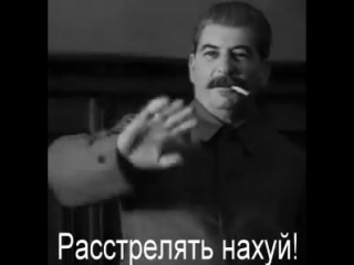 🐷 «Эта свинья решила, что мусор можно выкинуть прям на дороге. Госномер О061АМ161», - сообщает подписчик..