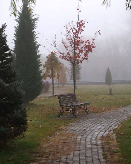 🌫️ Кто рано встает, тот… увидит туман. Вот такое воскресное утро в Краснодаре 
📸..