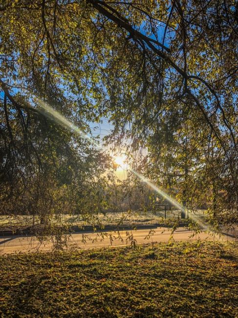 Солнечное ноябрьское Сормово 🍃🍂🍁☀️  #зарисовкинеоченьюногонатуралиста 
#нижегородскиезарисовки..