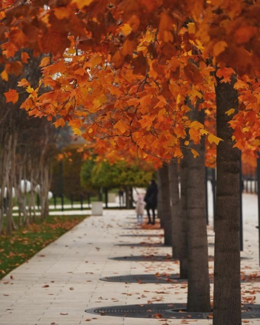 Красивая осень в парке Галицкого 🍁♥  Фото:..