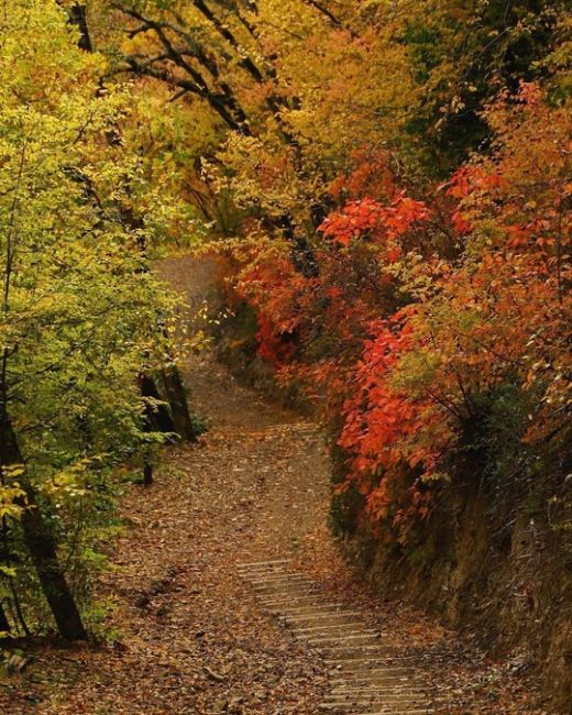 Прогулка по эко-тропе в Абрау-Дюрсо 🍂🍁😍  Фото..