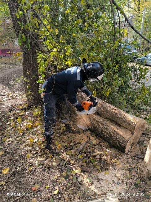 Сегодня Ростов-на-Дону накрыл деревопад. Из-за ветра пострадала не один автомобиль. 
В управлении ГО и ЧС..