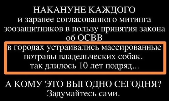 Очаги массового отравления животных фиксируются в Петербурге. Одна собака погибла, предварительно,..