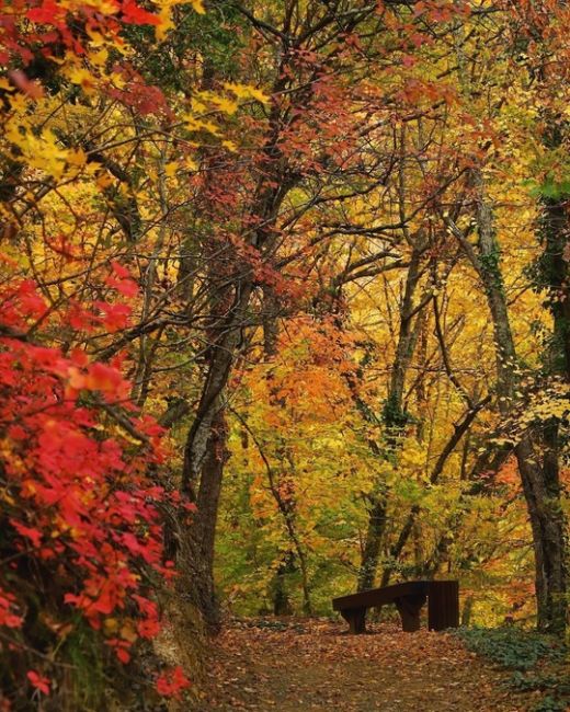 Прогулка по эко-тропе в Абрау-Дюрсо 🍂🍁😍  Фото..