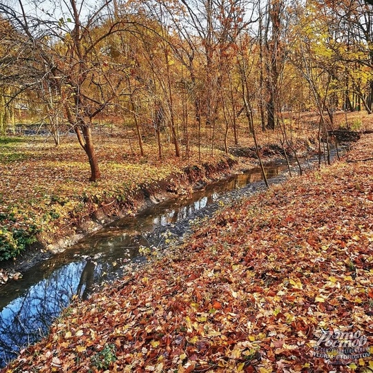 🍂🍁Красивый парк Дубки в Таганроге  Фото: Вадим..