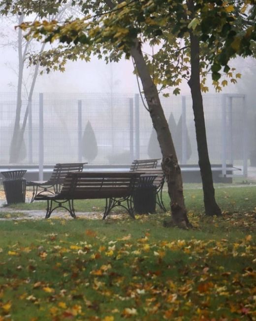 🌫️ Кто рано встает, тот… увидит туман. Вот такое воскресное утро в Краснодаре 
📸..