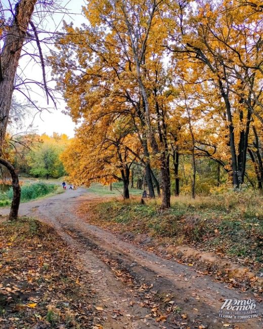 🍂🍁 Можайские пруды. Классное и тихое место для..