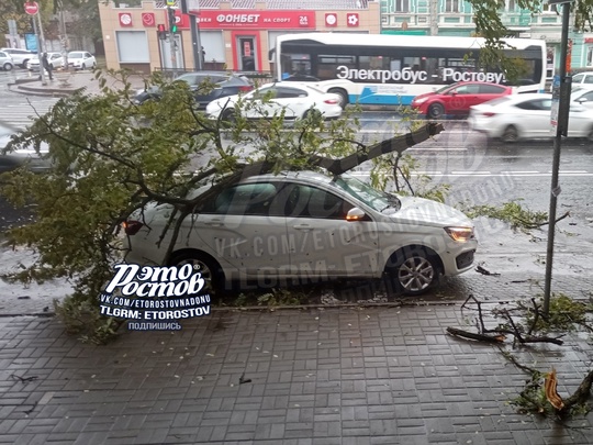 ⚠️🌳 Тем временем ветер с порывами до 30 м/с повалил сотни деревьев Таганроге, Батайске и Азове. Тысячи людей..