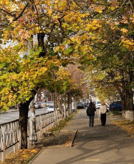 Ещё немного уютной краснодарской осени 🍁  спасибо..