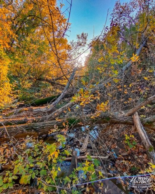 🍂🍁 Можайские пруды. Классное и тихое место для..