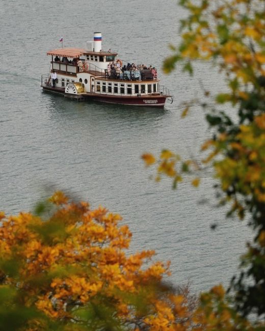 Прогулка по эко-тропе в Абрау-Дюрсо 🍂🍁😍  Фото..