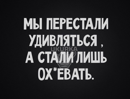 Екатеринбуржец выбросил собаку из окна 20 этажа  Инцидент произошёл утром 25 ноября. Мужчина вместе со своей..