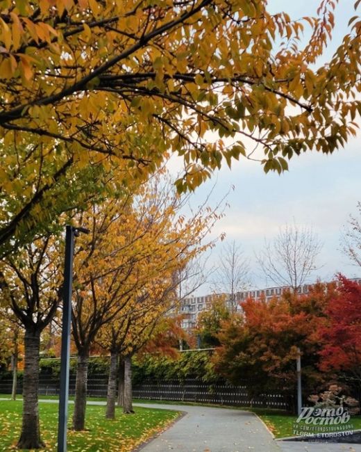 😍🍁Осень в чудесном парке Галицкого в соседнем..