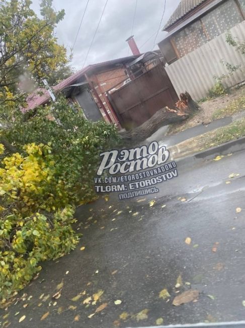 ⚠️🌳 Тем временем ветер с порывами до 30 м/с повалил сотни деревьев Таганроге, Батайске и Азове. Тысячи людей..