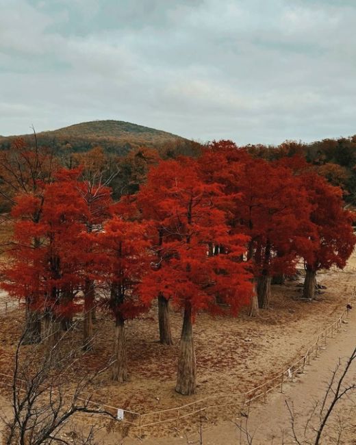 🍂Одна из самых известных локаций Анапы, - Кипарисовое озеро в поселке Сукко ( 20 км от Анапы )  Летом, и..