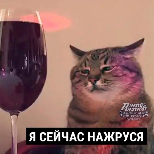 😹 Мои каждодневные..