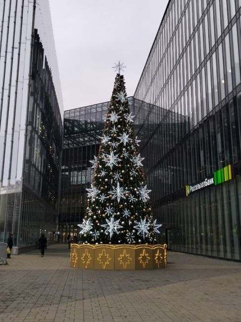 В торговом центре "Гудок" появились первые новогодние красавицы..