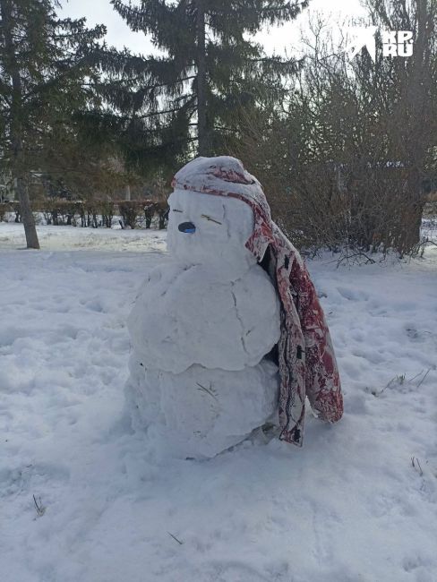 Пока кто-то ругается на плохо очищенные от снега дороги, креативные новосибирцы лепят снеговиков и делятся..