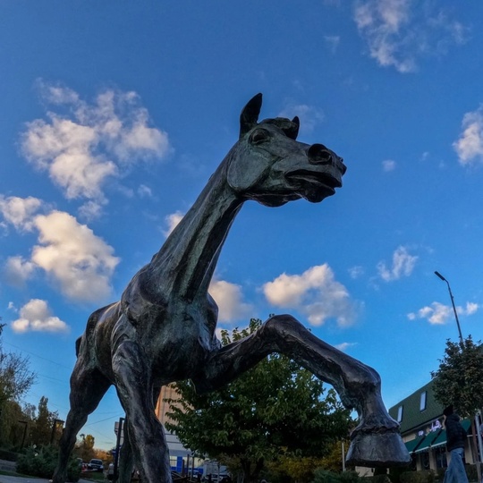 Сквер "Кони" в городе Аксай Ростовской..