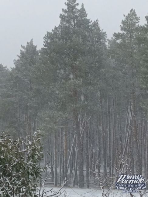 ❄️🌬 Зима пришла на север Ростовской..