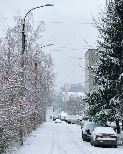 Снежное утро..