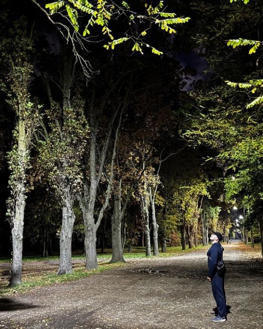 Вечерний Краснодар как всегда красив. Осень 🍂 в нашем городе всегда полна свежим воздухом и усыпанными..