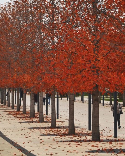 Красивая осень в парке Галицкого 🍁♥  Фото:..