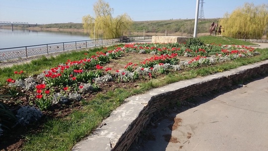 Доброе воскресное утро! Наслаждаемся..