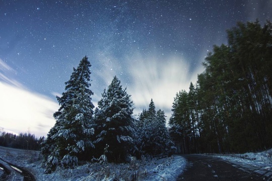 💙 Звездная ночь в нижегородских краях  Фото: Ян..