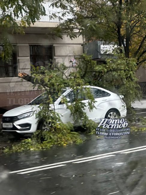 ⚠🌳 На Будённовском прилетело по свеженькой Ладе..