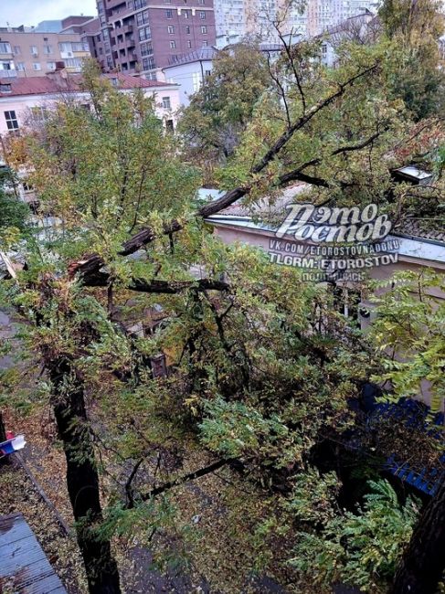 ⚠Деревья упали на колледж ДГТУ при Буденновском, 72а, и на Воровского, перекрыв выезд на Шолохова (3..