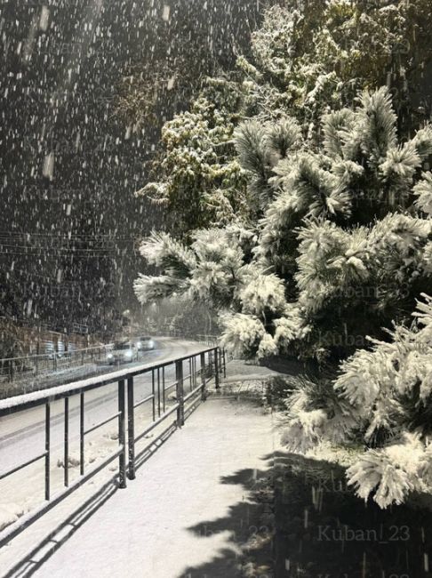 ❄️ Снежная сказках в горах Красной..