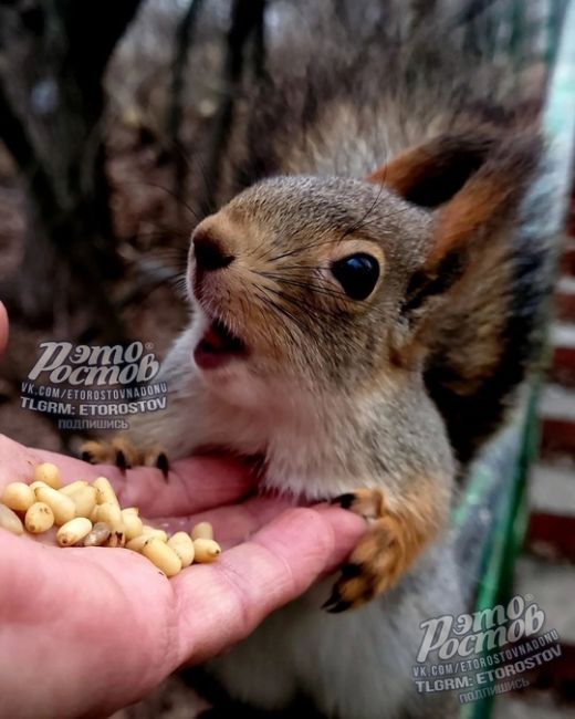 🐿Парк Революции 
"Это всё..