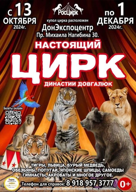 Ростов! Осталось всего 2 дня, чтобы увидеть одно из лучших ШОУ Российского цирка! 
Только 30 ноября и 1 декабря..