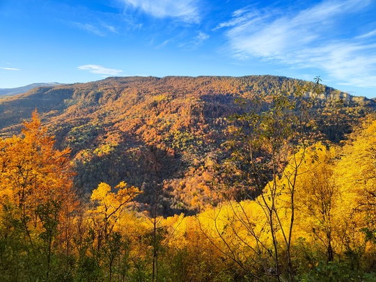 Красочная осень в Голубой бездне🍁  Фото..