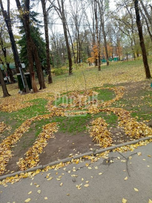 Парк имени октября. Люди таким образом показали в осени есть место для улыбки.  За кадры спасибо нашему..