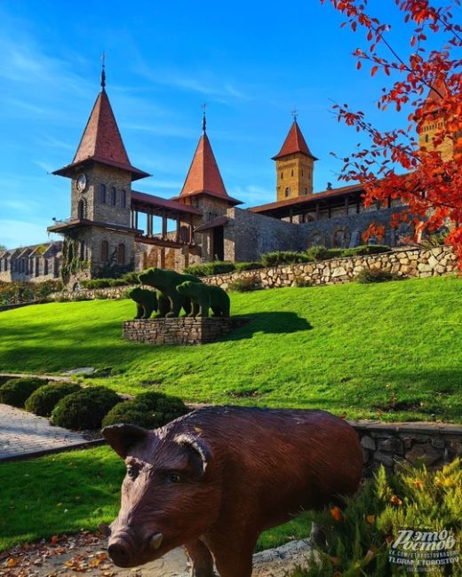 🏰 Парк Лога! Замечательное место  🥰 Сколько бы раз я здесь не была, но каждый раз как в первый. Сказочный,..