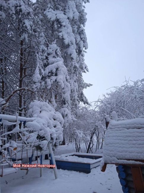 💙Снежное утро в Гагинском районе. Ждем у..