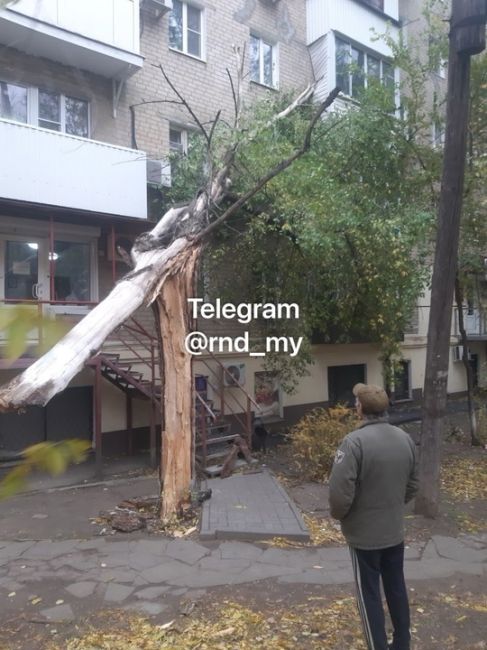 На Шеболдаева дерево упало на балкон 4-го..