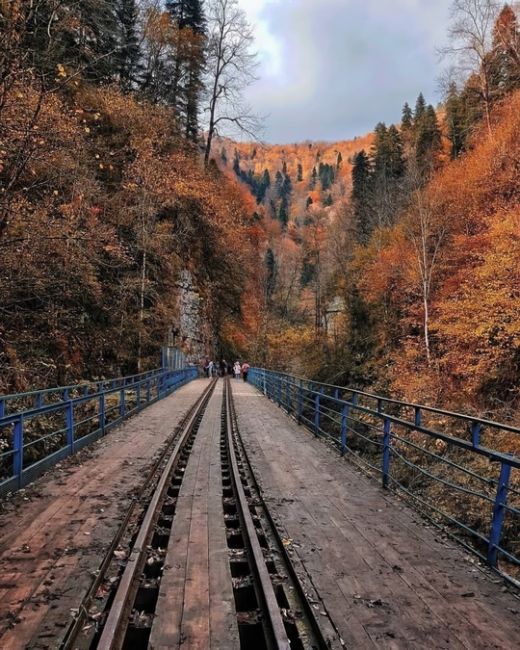 Путь от Гуамки до Мезмая по узкоколейной железной дороге ❤️  Фото:..